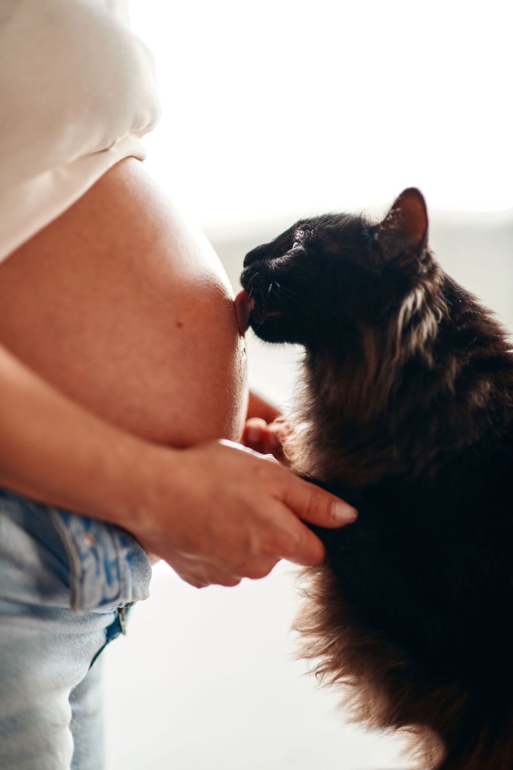 Pregnant woman holding fluffy black cat near her baby bump in soft natural light.