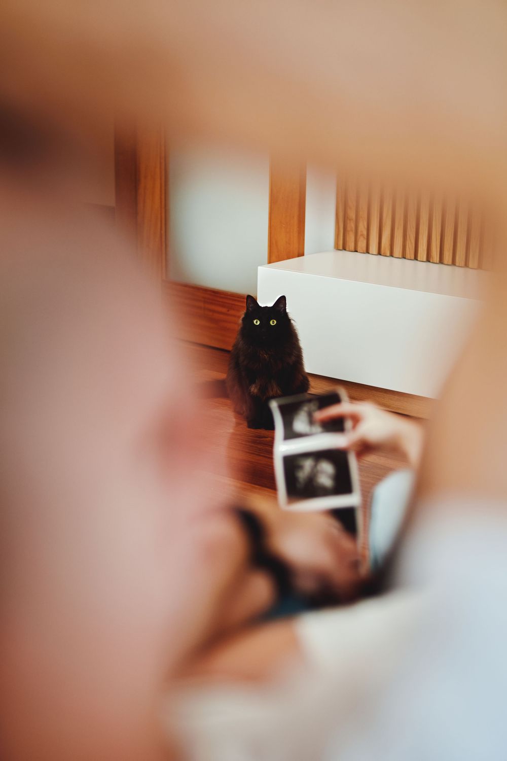 Black cat watching pregnant woman lying down holding ultrasound images, reflected in mirror.