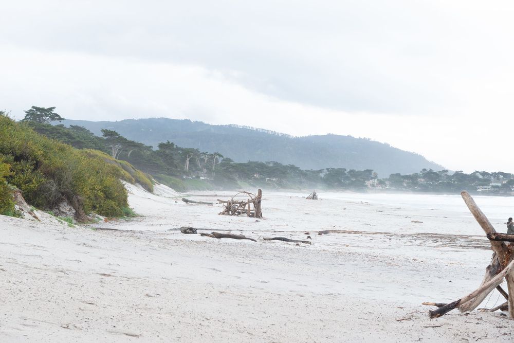 Scenic beach landscape with driftwood and waves crashing on the shore as mountains rise in the misty distance.