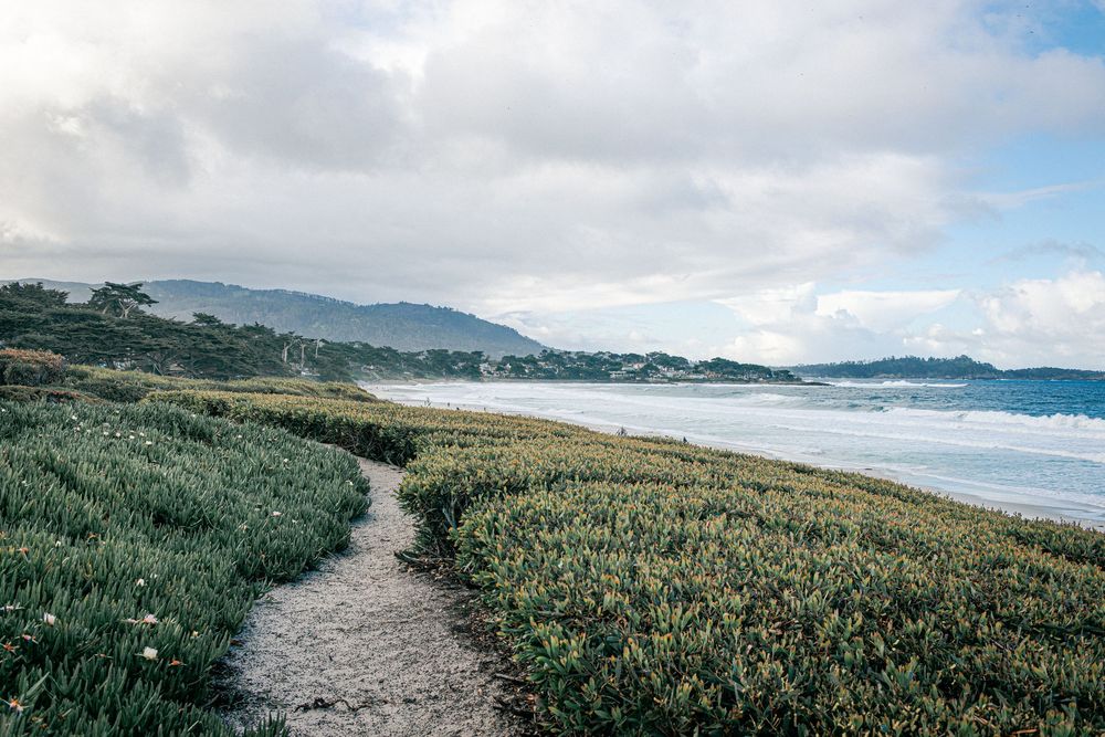 Carmel by the Sea family photographer