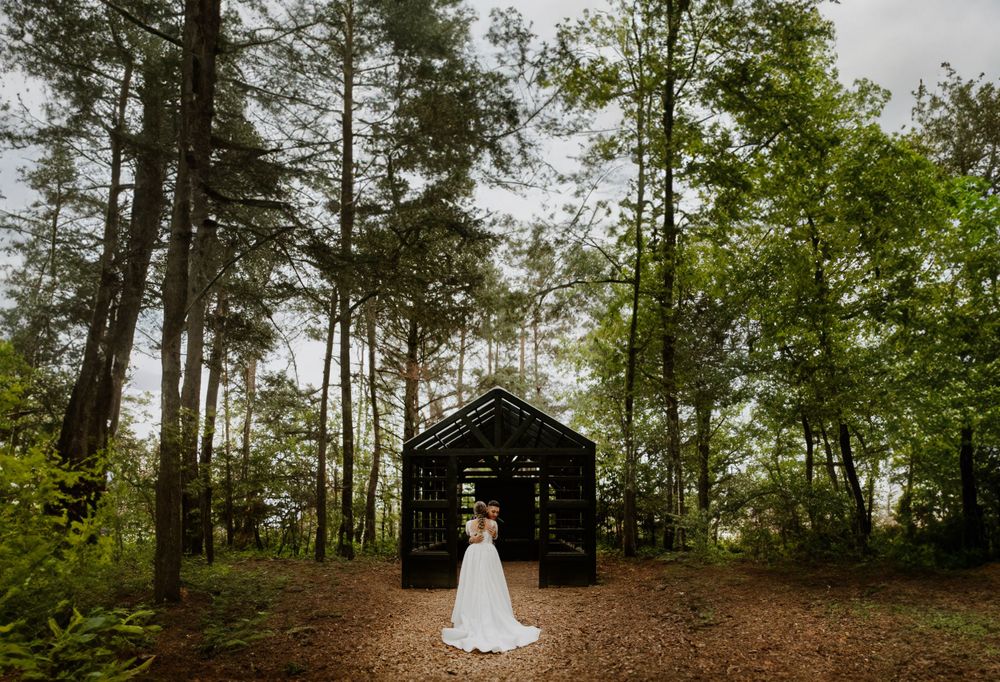 Forest wedding venue with tall pine trees creating a natural outdoor ceremony space.