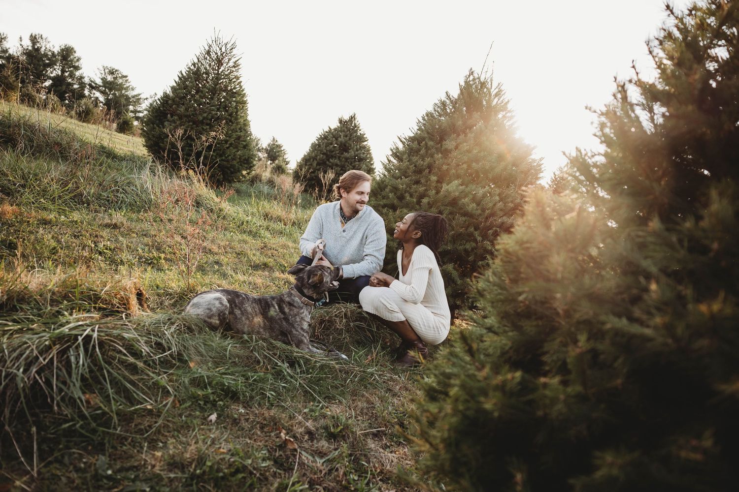 Couple sitting with their dog among Christmas trees in golden sunset light.