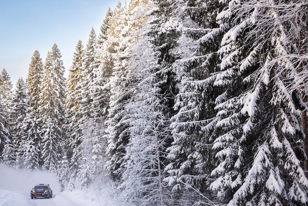 Snow-covered evergreen forest lines a winding mountain road during a winter day in the wilderness.
