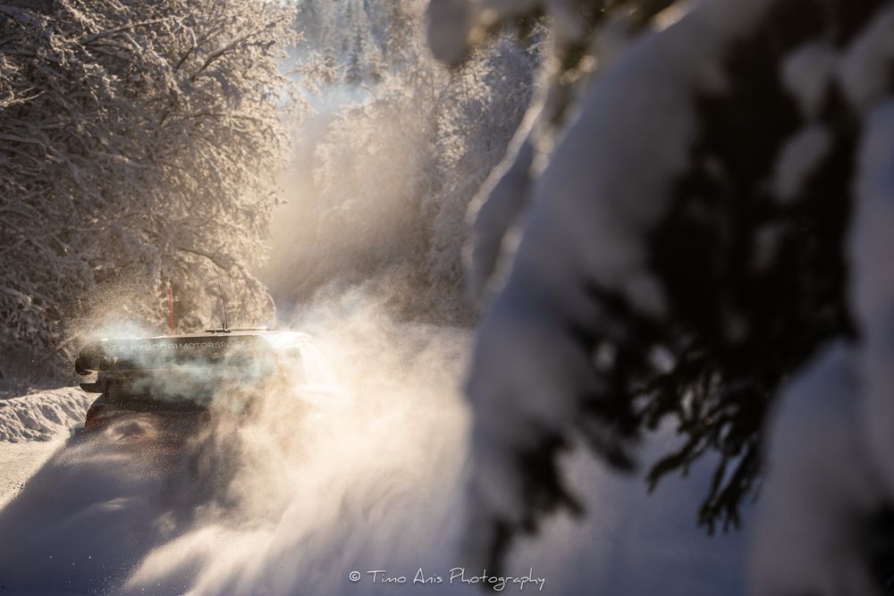Sunlight creates a misty ethereal glow through snow-covered evergreen trees in a winter forest landscape.