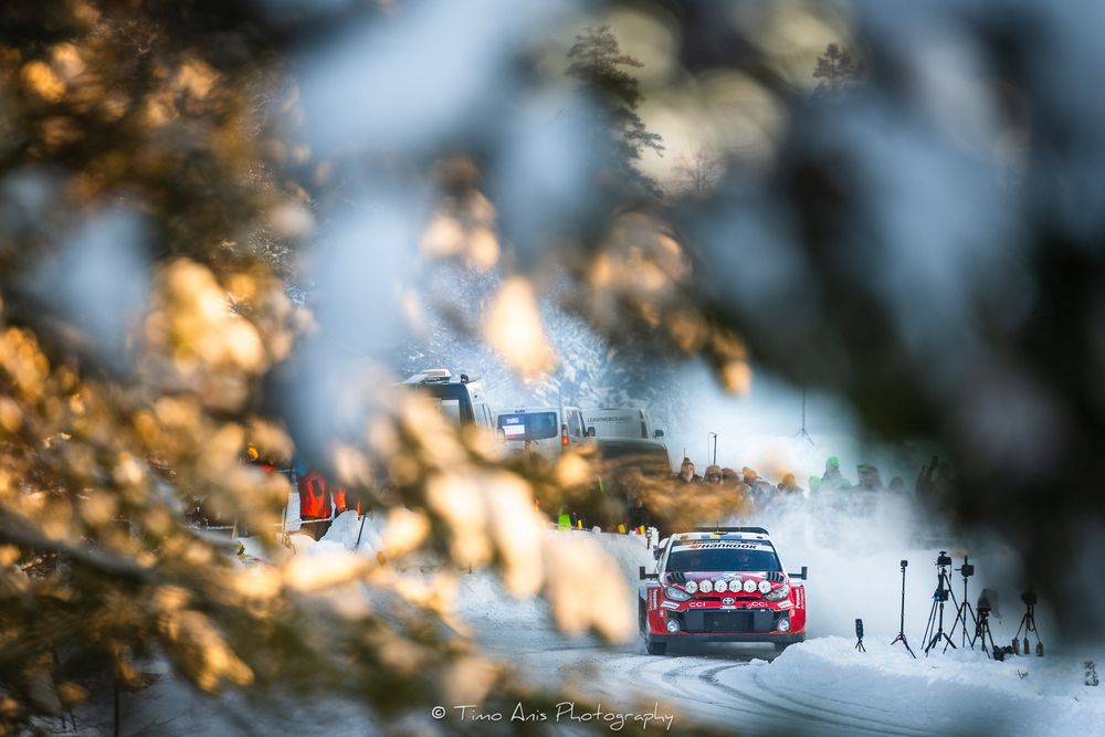 Rally car racing through snowy forest track during winter competition with blurred pine branches in foreground.