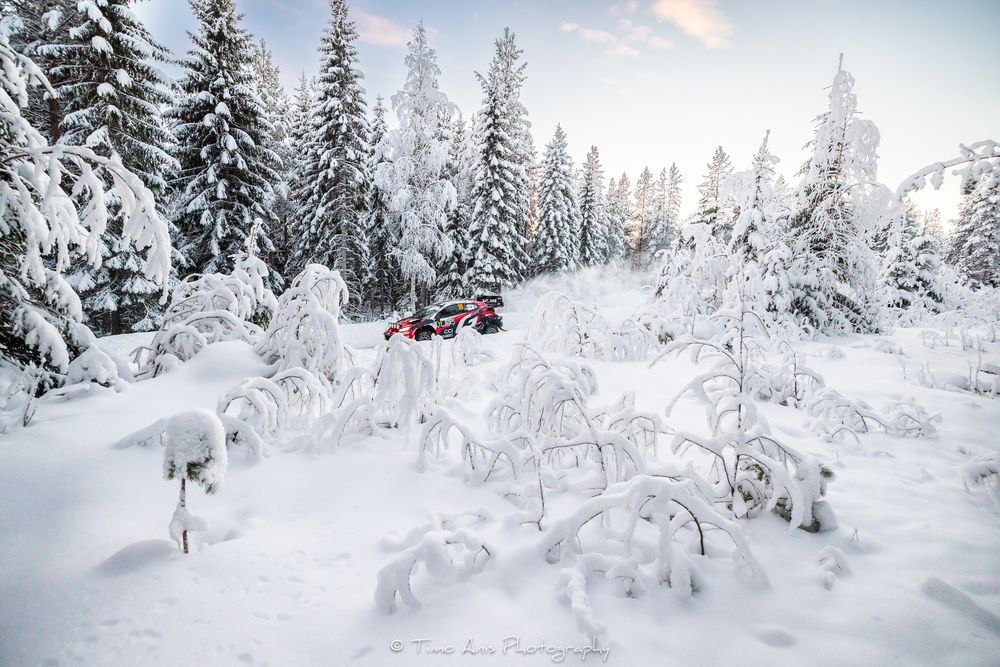 A red snowmobile travels through a snowy winter forest landscape with snow-covered evergreen trees at sunset.