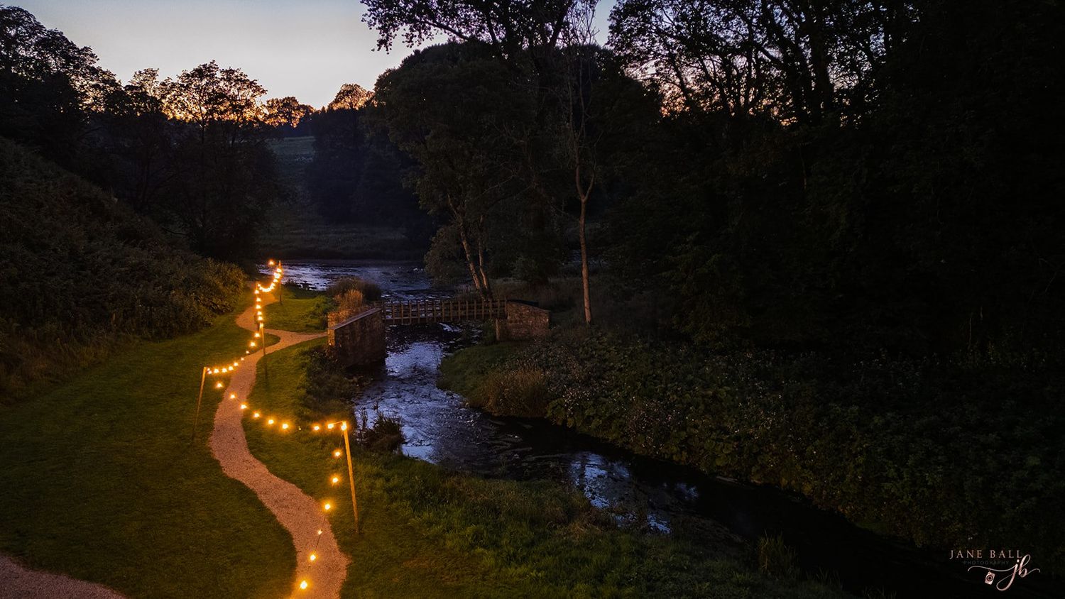 String lights illuminate a winding path through dark woods at night creating a magical atmosphere.