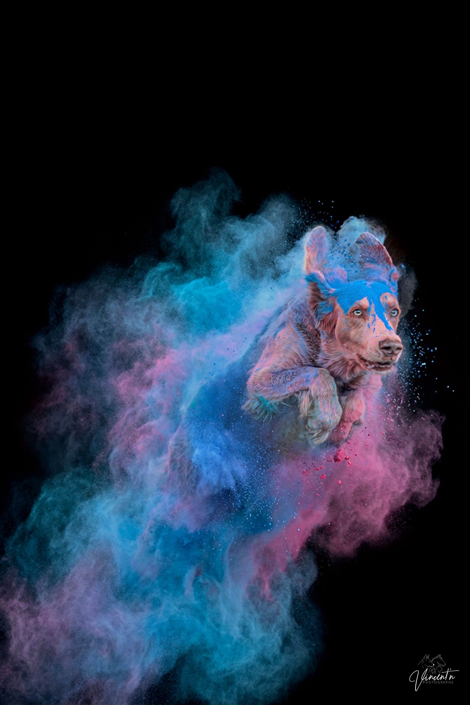 Colorful powder explosion sequence in blue and pink hues against black background creates ethereal smoke art effect.
