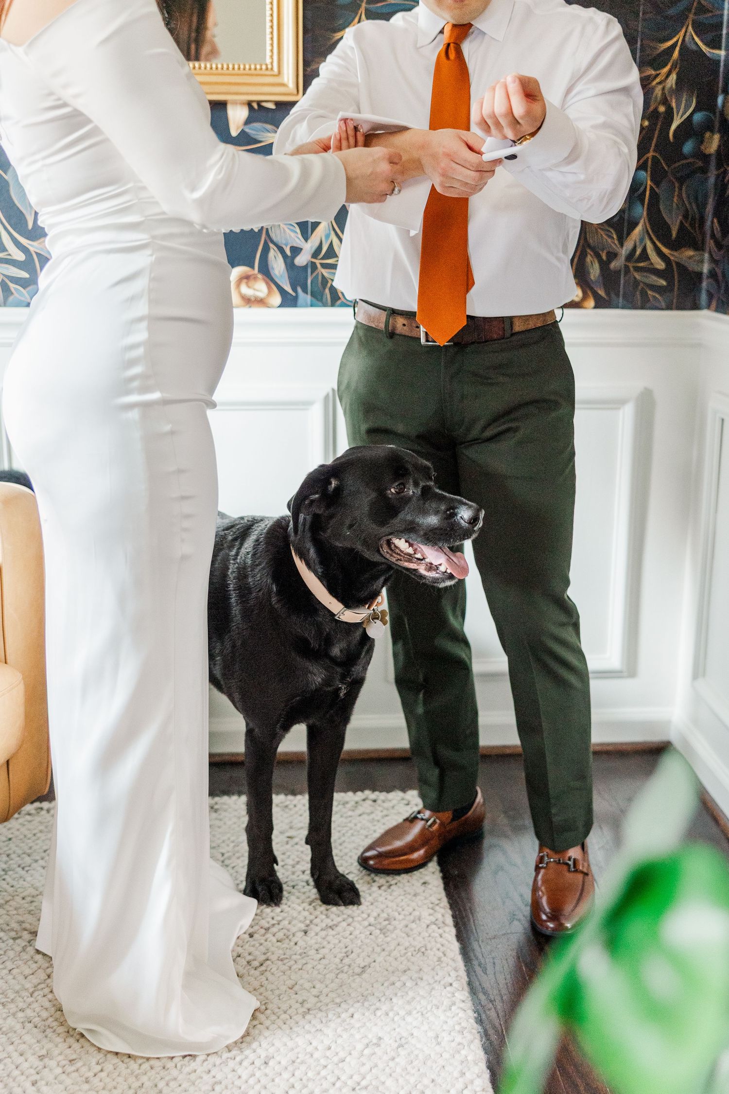Black Labrador dog sits attentively next to someone wearing dress pants and brown leather shoes at an indoor event.
