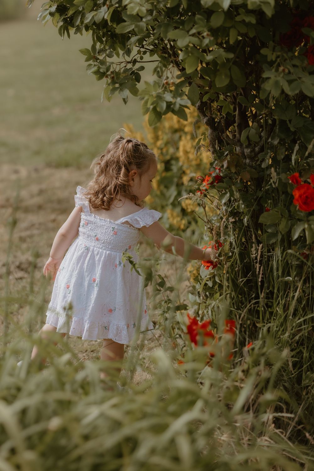 A white dress twirls through a garden path with blooming red flowers and green foliage.
