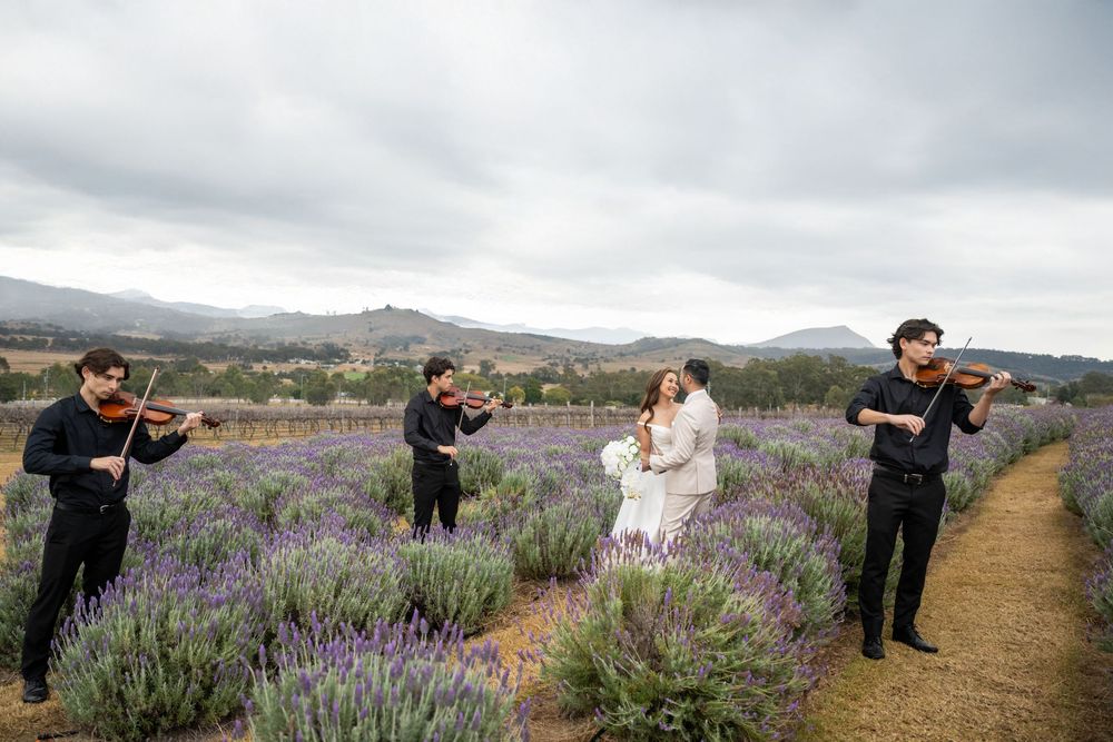 Bride and groom dance romantically in a lavender field while string quartet performs surrounding them.