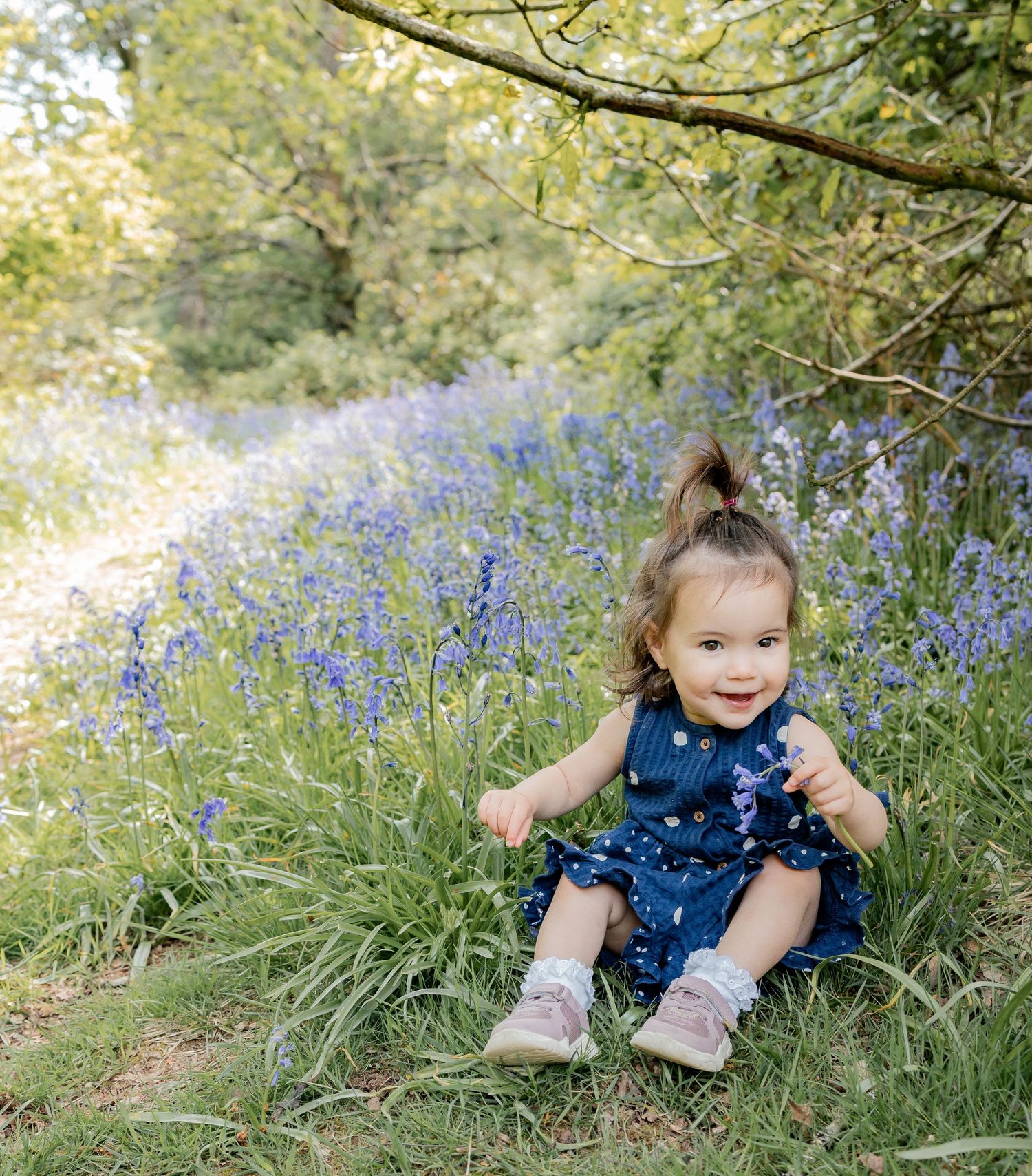 A smiling toddler girl in a navy dress sits in a lush bluebell field surrounded by green trees.