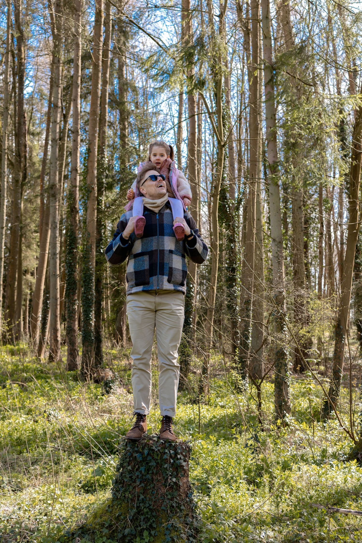 Father carrying young daughter on his shoulders while standing on a tree stump in a sunny forest. Photography in Buckinghamshire.