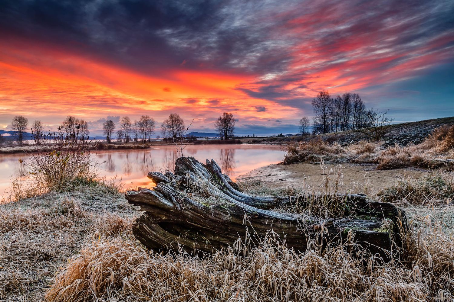 Alouette River, Pitt Meadows, British Columbia