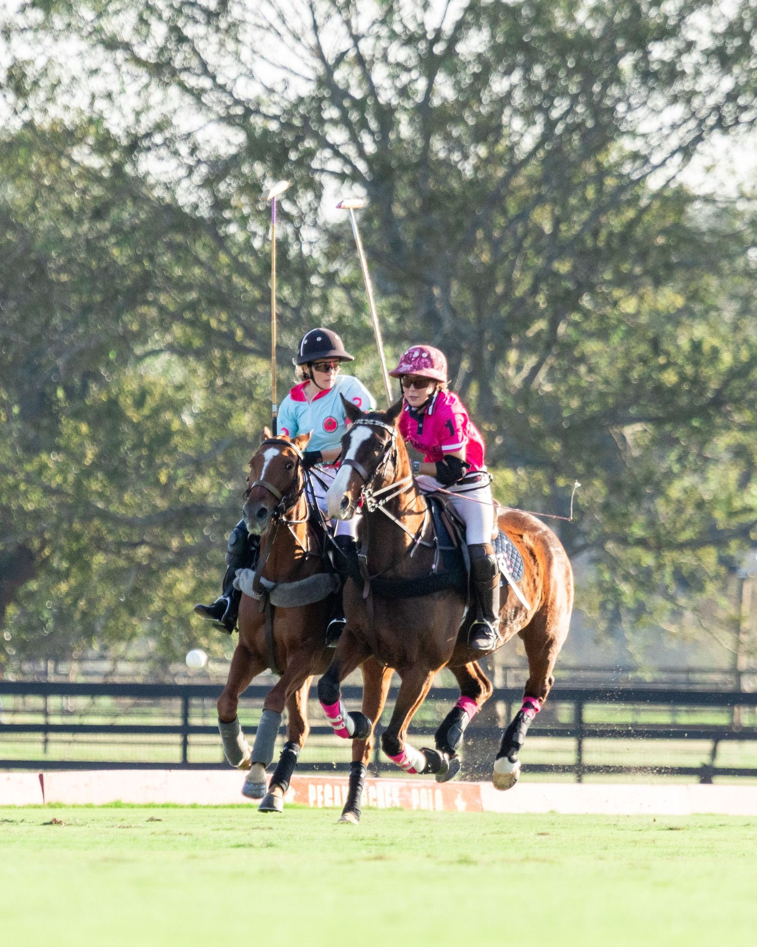 Polo