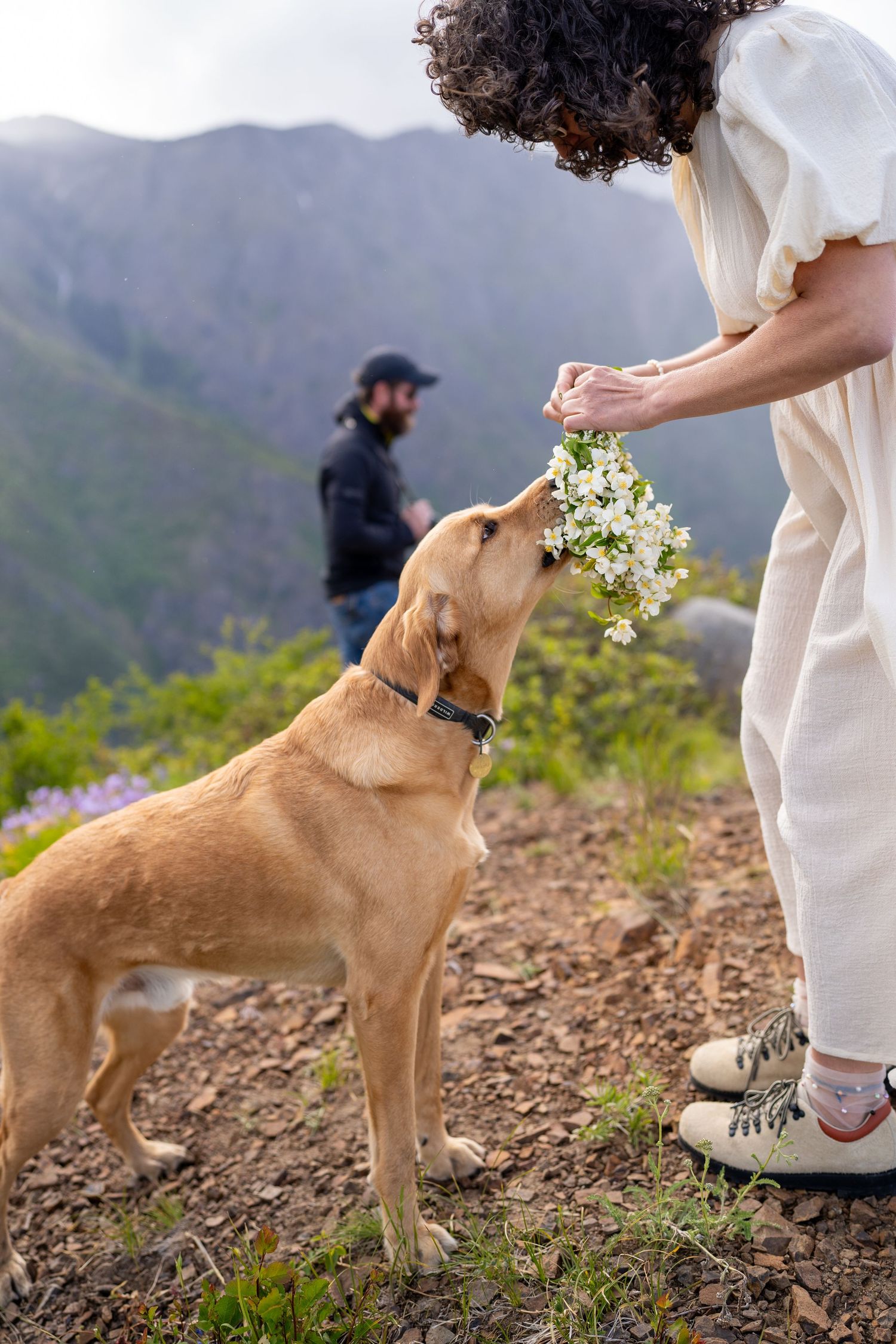 Dog sniffs floral bouquet on mountain trail during outdoor photo session.