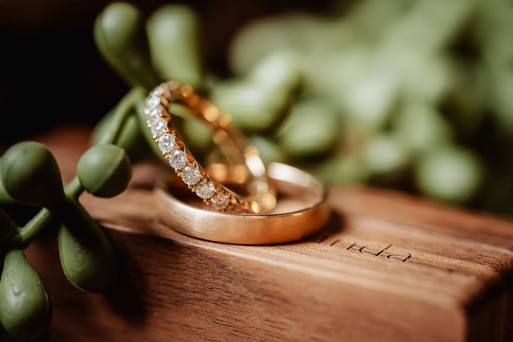 Wedding rings with diamonds photographed on wooden surface with succulent plants.