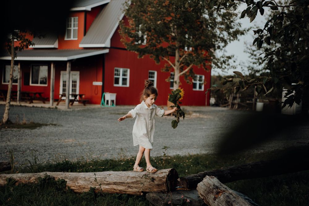 Child playing outside red farmhouse on fallen tree trunk.