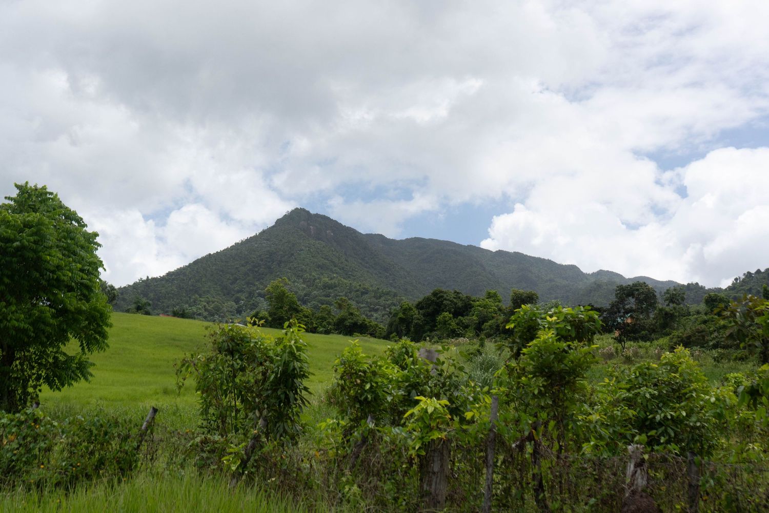 Lush green tropical mountain landscape with fields and trees under partly cloudy skies.