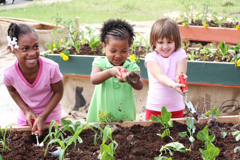 Three young students working together to plant vegetables in a raised garden bed surrounded by flowers.