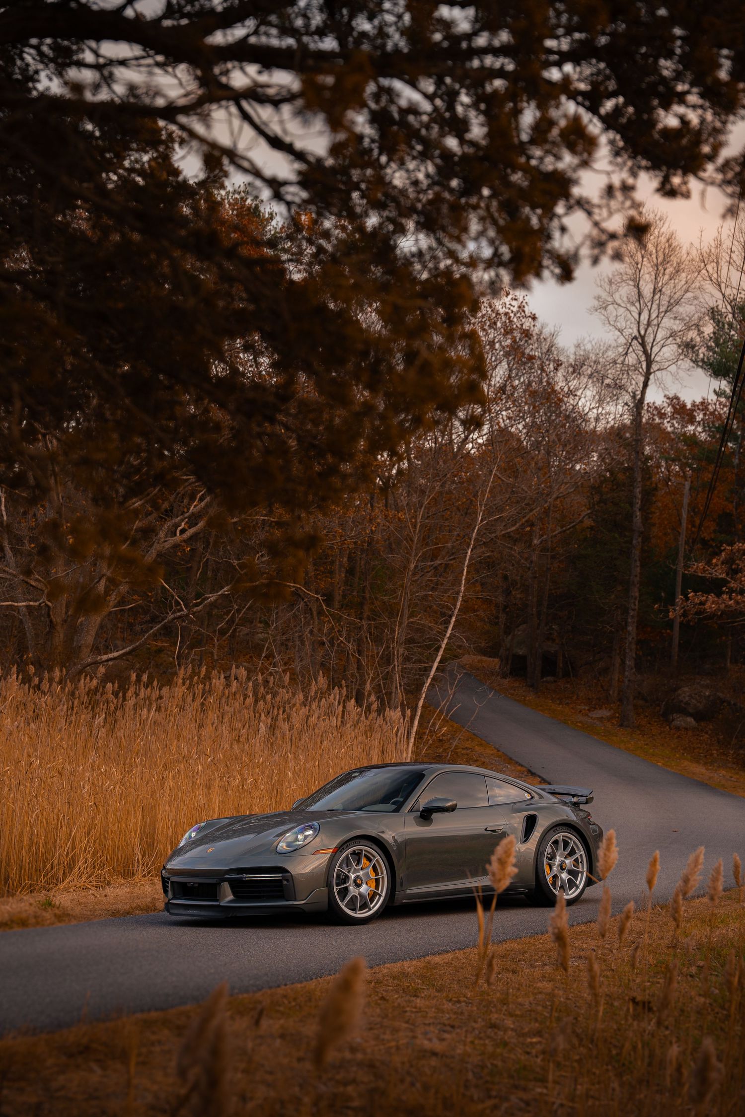 Gray Porsche 911 parked on a winding autumn road surrounded by tall grass and trees.