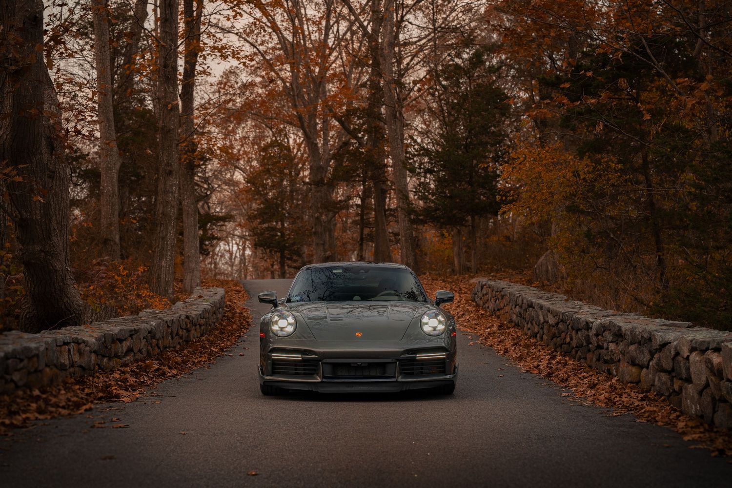 Front view of a sleek Porsche sports car on a stone-lined forest road covered in fall leaves.