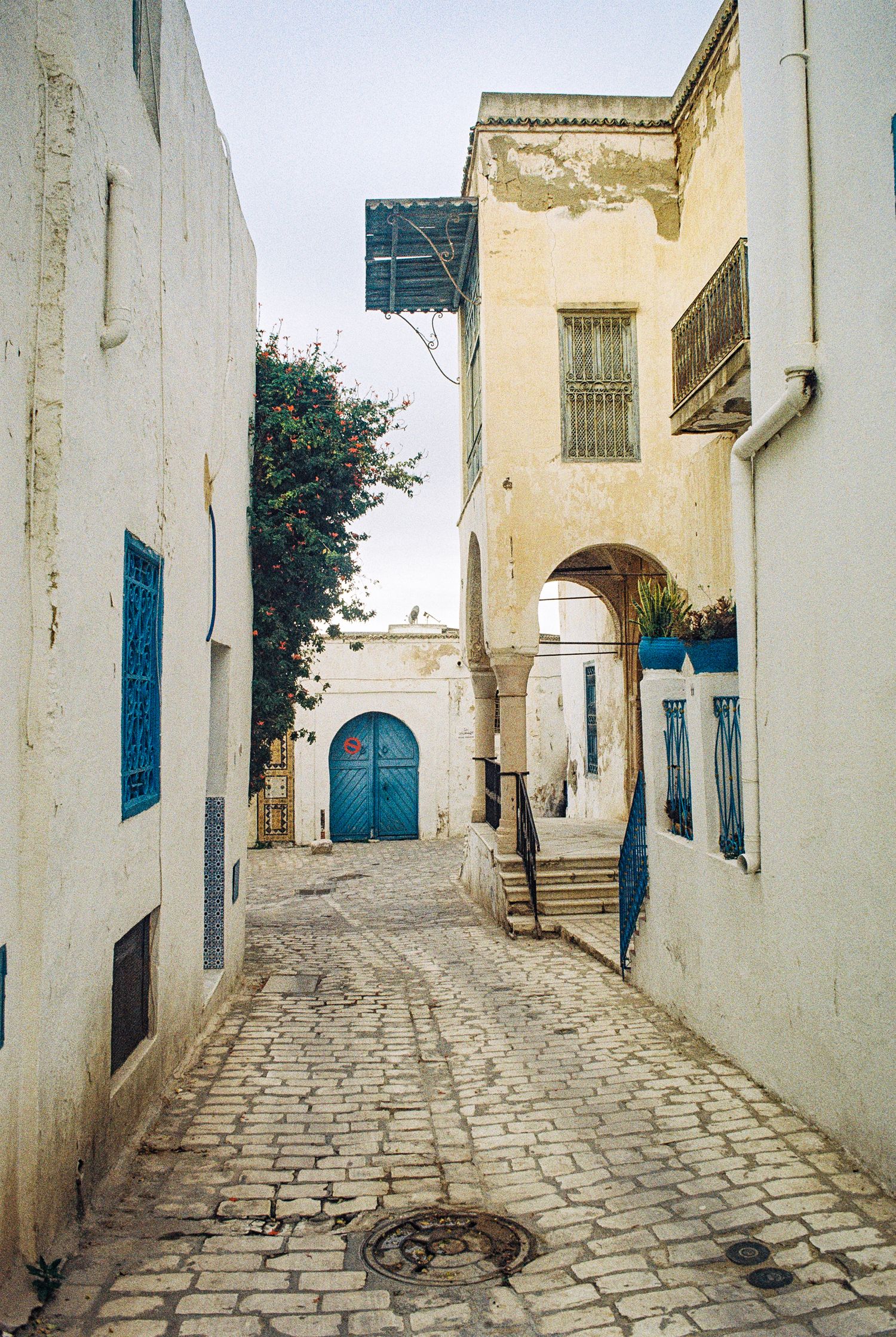Narrow cobblestone alley with white walls and blue doors in Sidi Bou Said, Tunisia showcases traditional architecture.