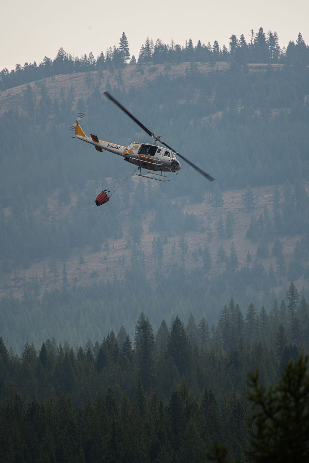 A firefighting helicopter carries a water bucket over a dense pine forest amid smoky haze during wildfire operations.