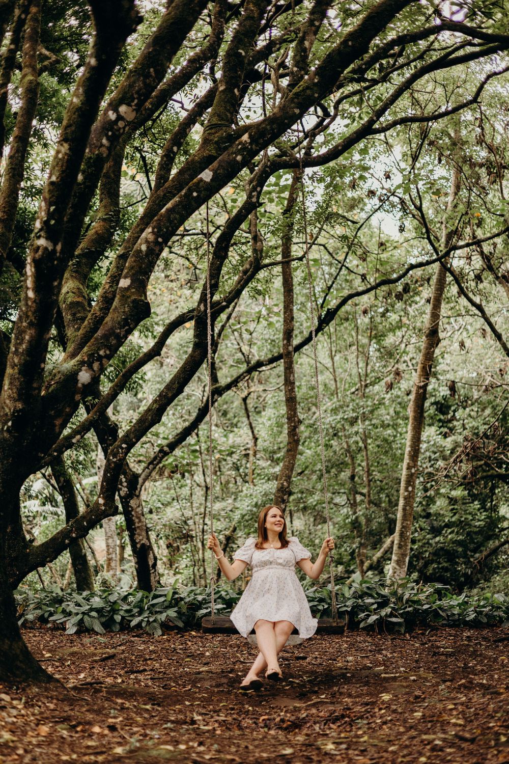 Dreamy forest scene with person relaxing on rustic wooden swing among tall trees.