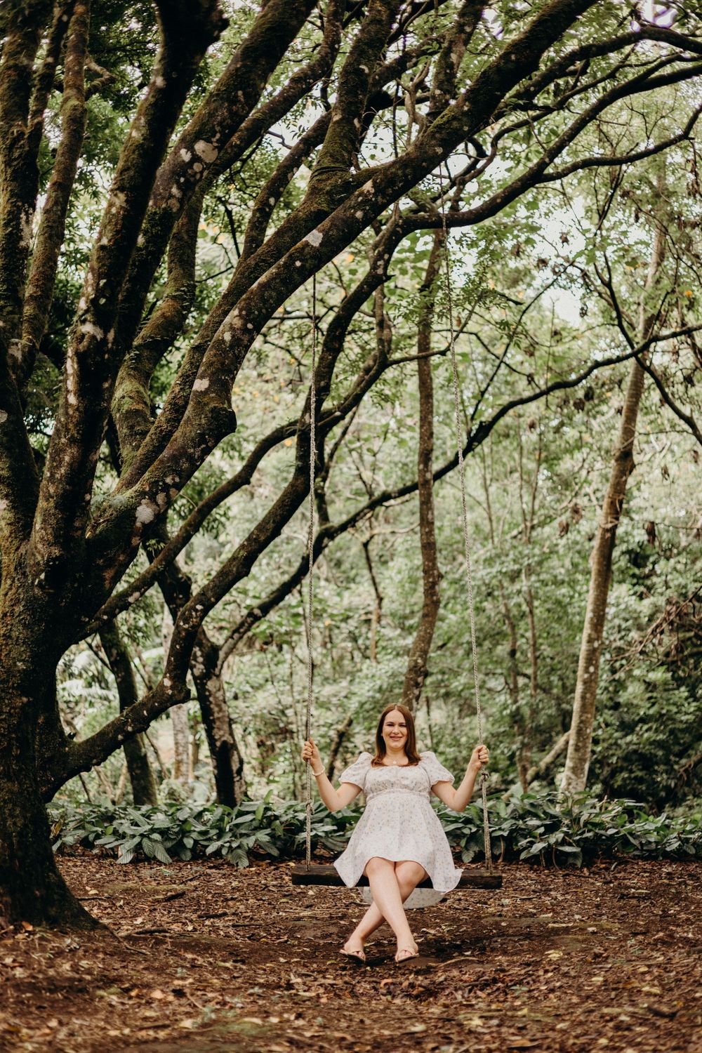 A rustic woodland scene with a white swing hanging from a large moss-covered tree.
