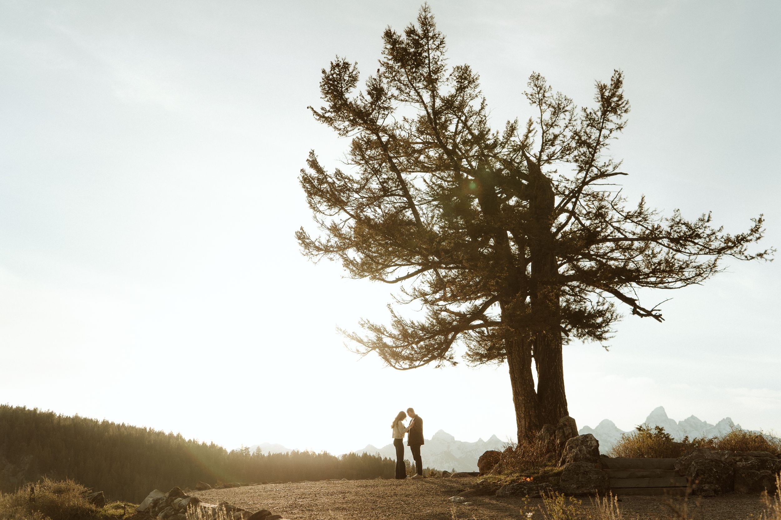 wedding photographer for the wedding tree