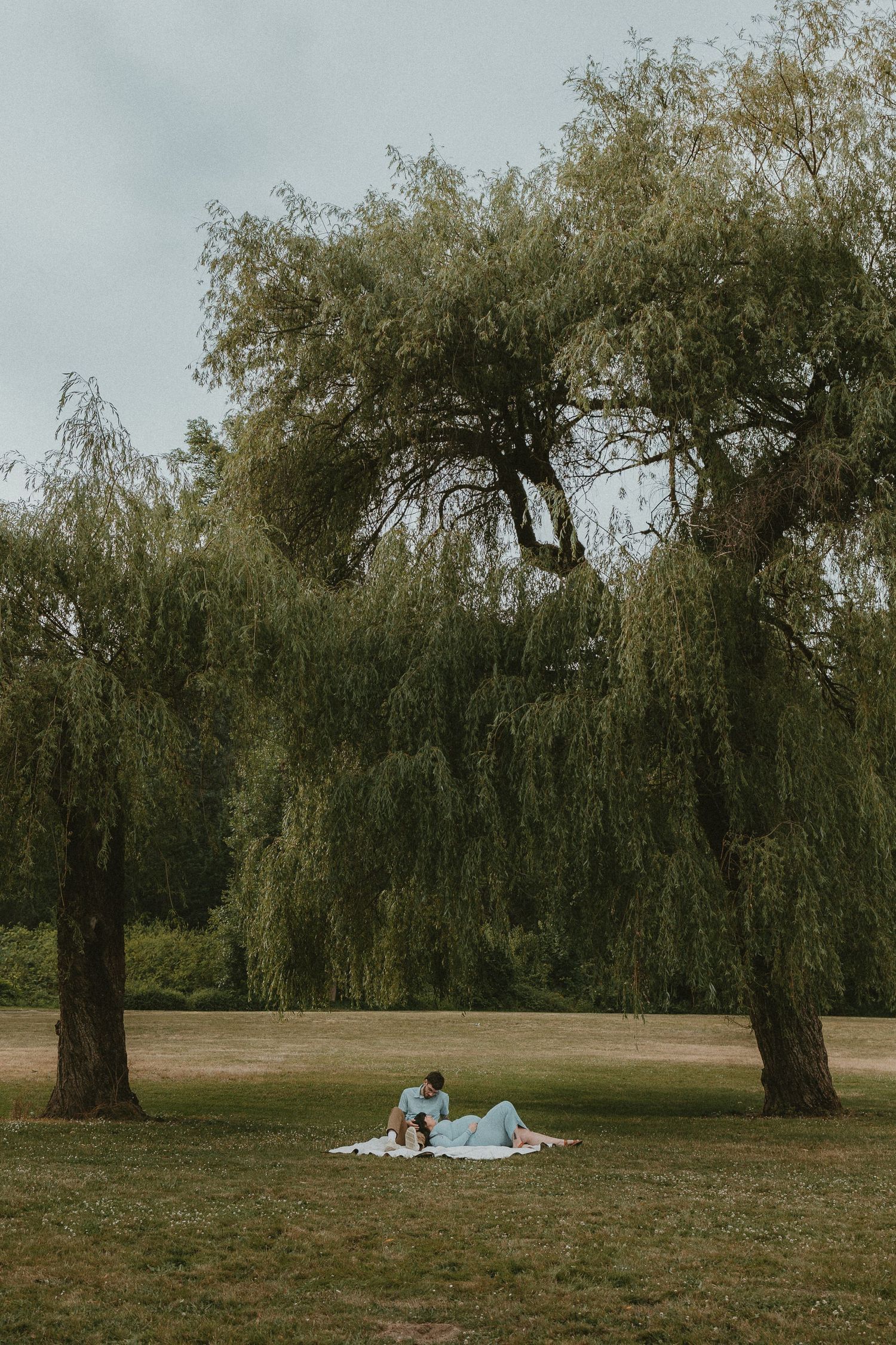 A serene picnic scene under drooping willow trees in a peaceful meadow on an overcast day.