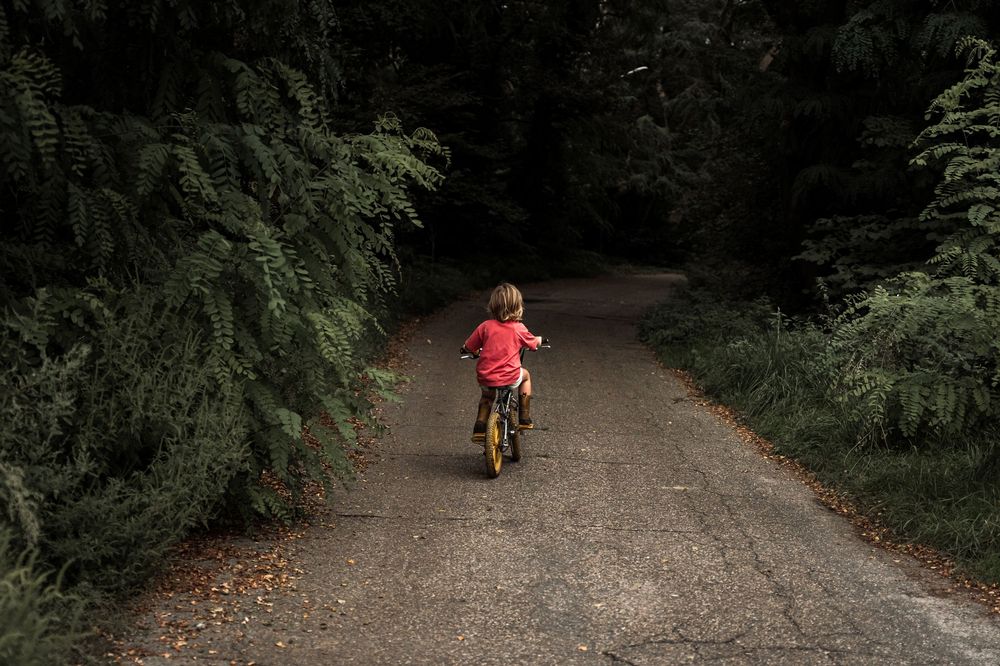A child rides a bicycle down a tree-lined path in a red shirt.