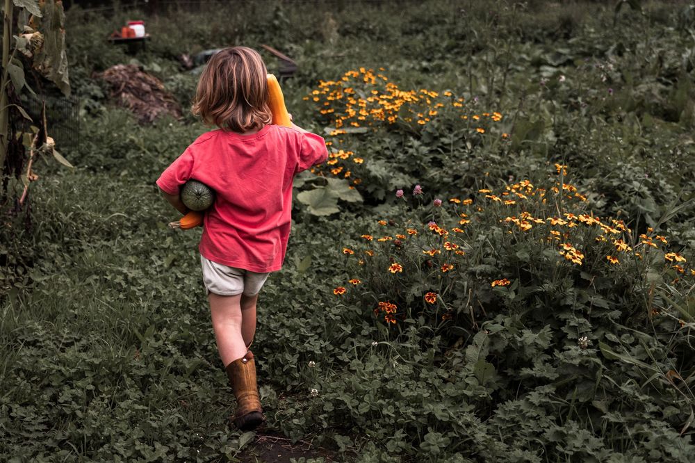 A child in a pink shirt runs through a garden with blooming orange flowers.