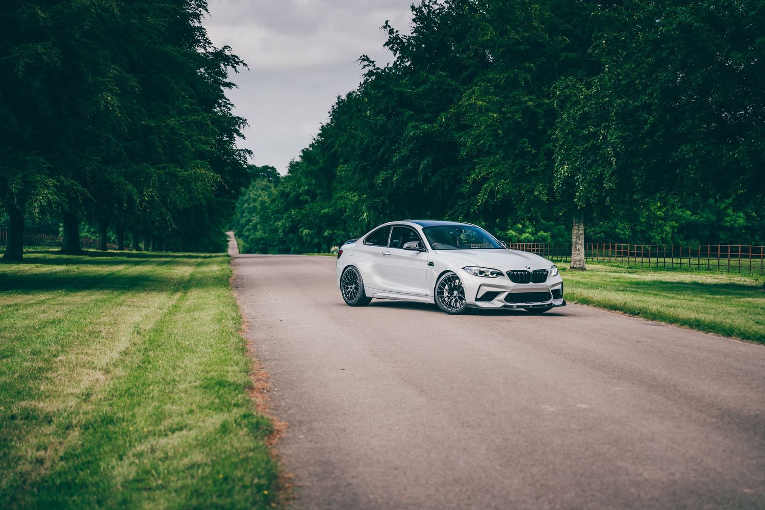 Luxury sports cars parked along a tree-lined driveway.