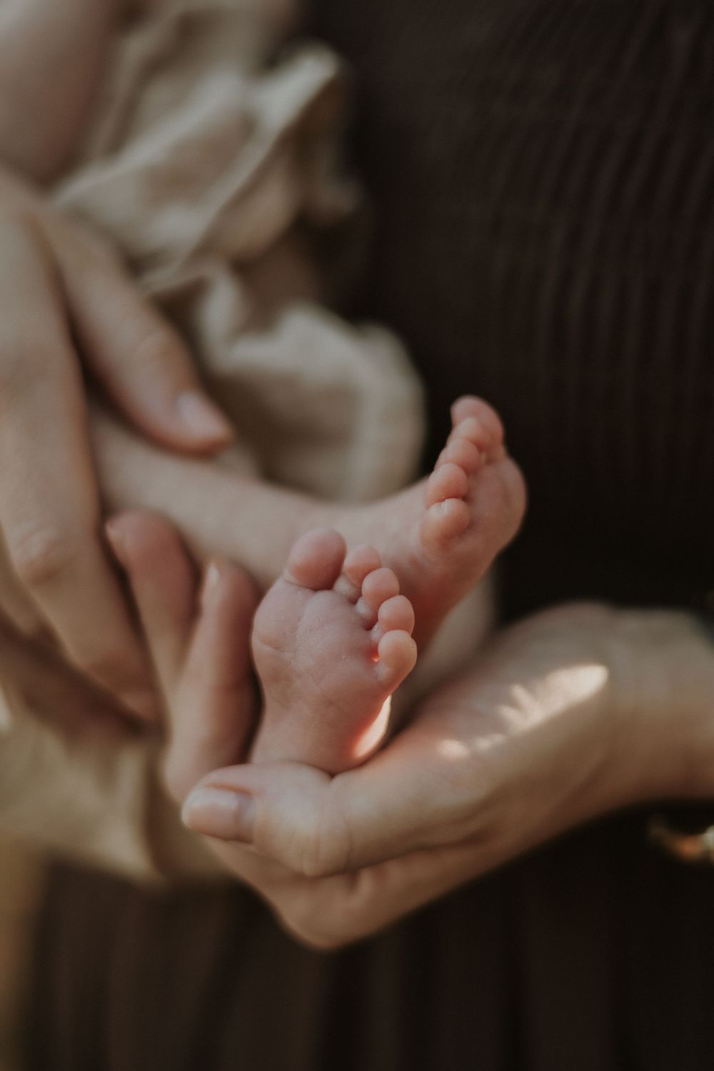 Gentle hands cupped together in soft lighting creating a peaceful and intimate atmosphere.