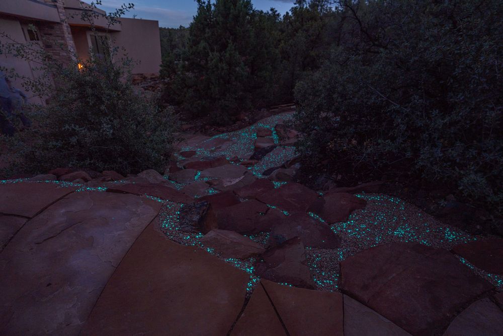 Illuminated pathway with glowing blue accents winding through desert landscape at night.