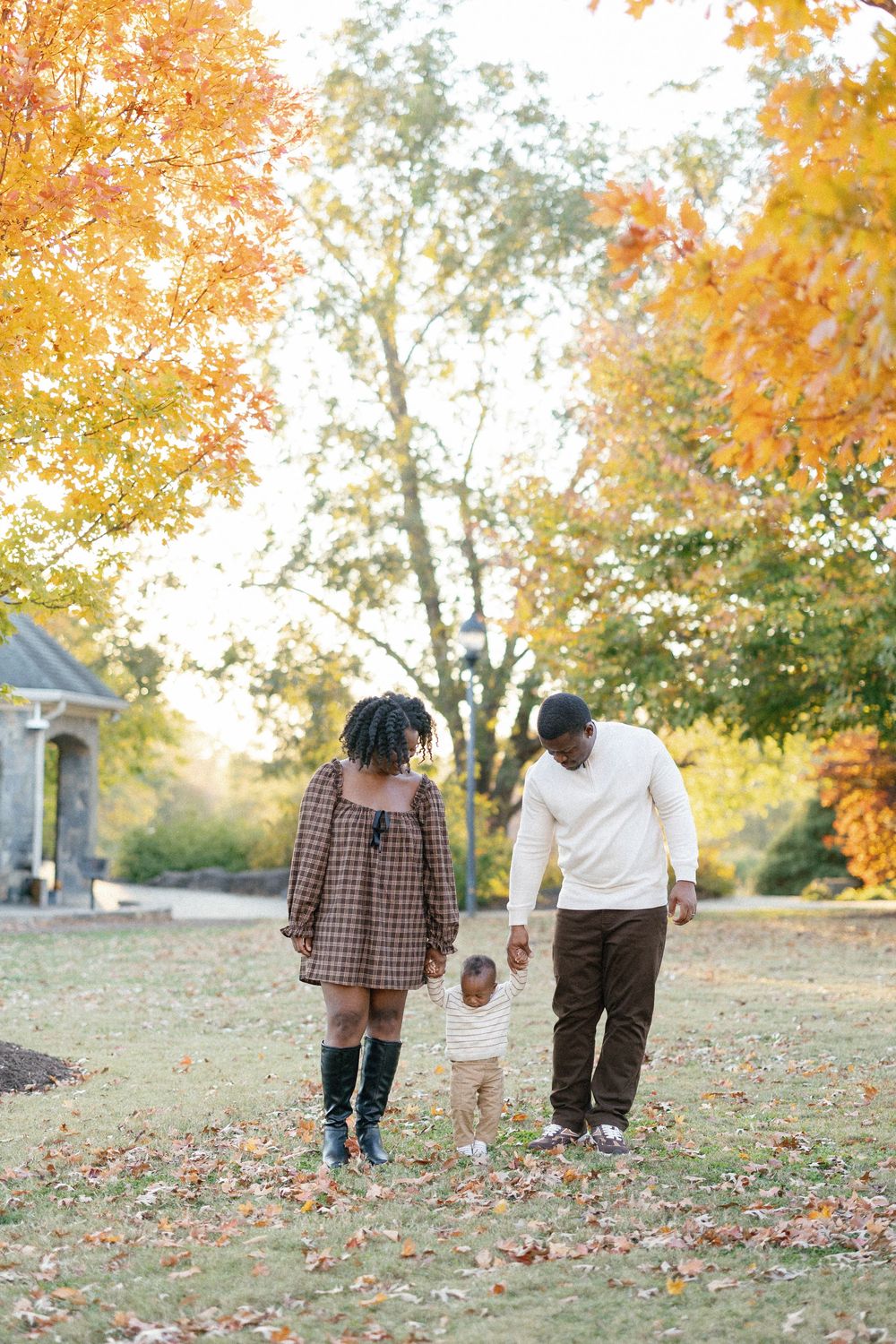 A group walks together on an autumn day with golden leaves scattered across a grassy hillside.