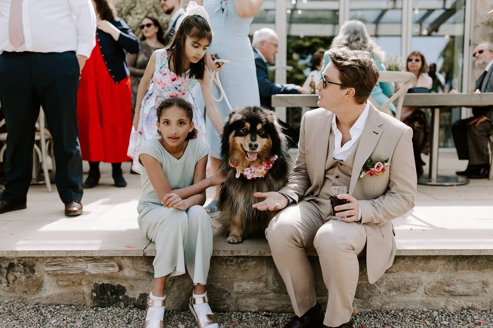 Wedding guests sitting on stone steps with a fluffy dog during an outdoor celebration.