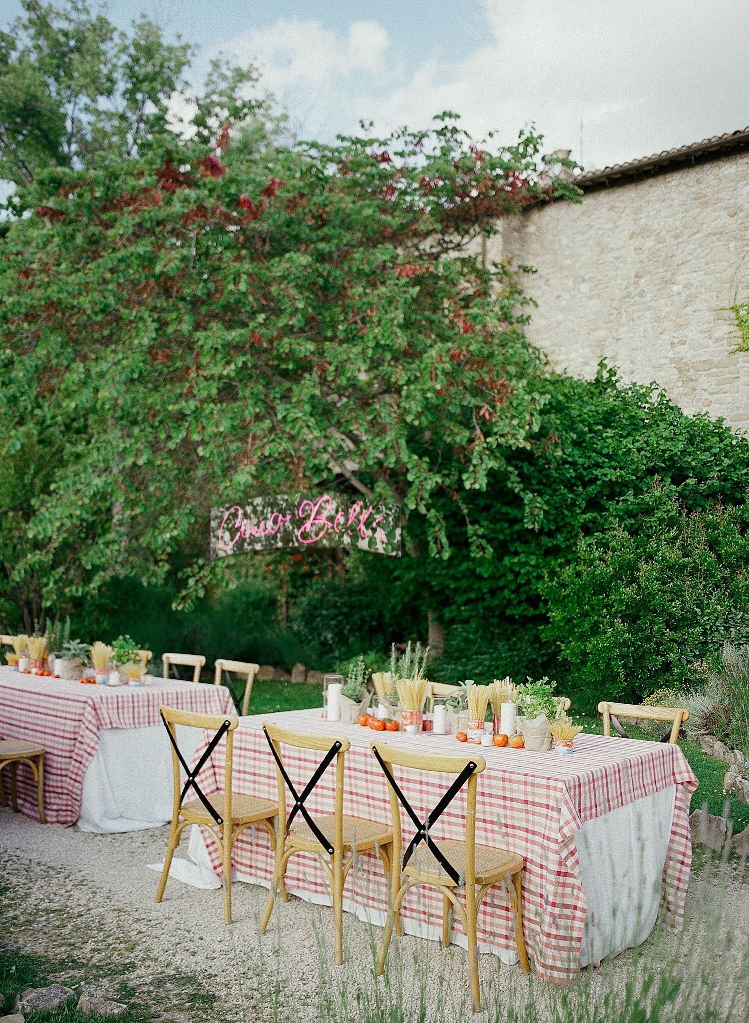 Long outdoor dining table with red checkered tablecloth under blooming rose bushes creates a charming garden party setting.