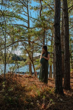 Silhouette of a person standing among tall pine trees in a forest with golden sunlight filtering through branches.