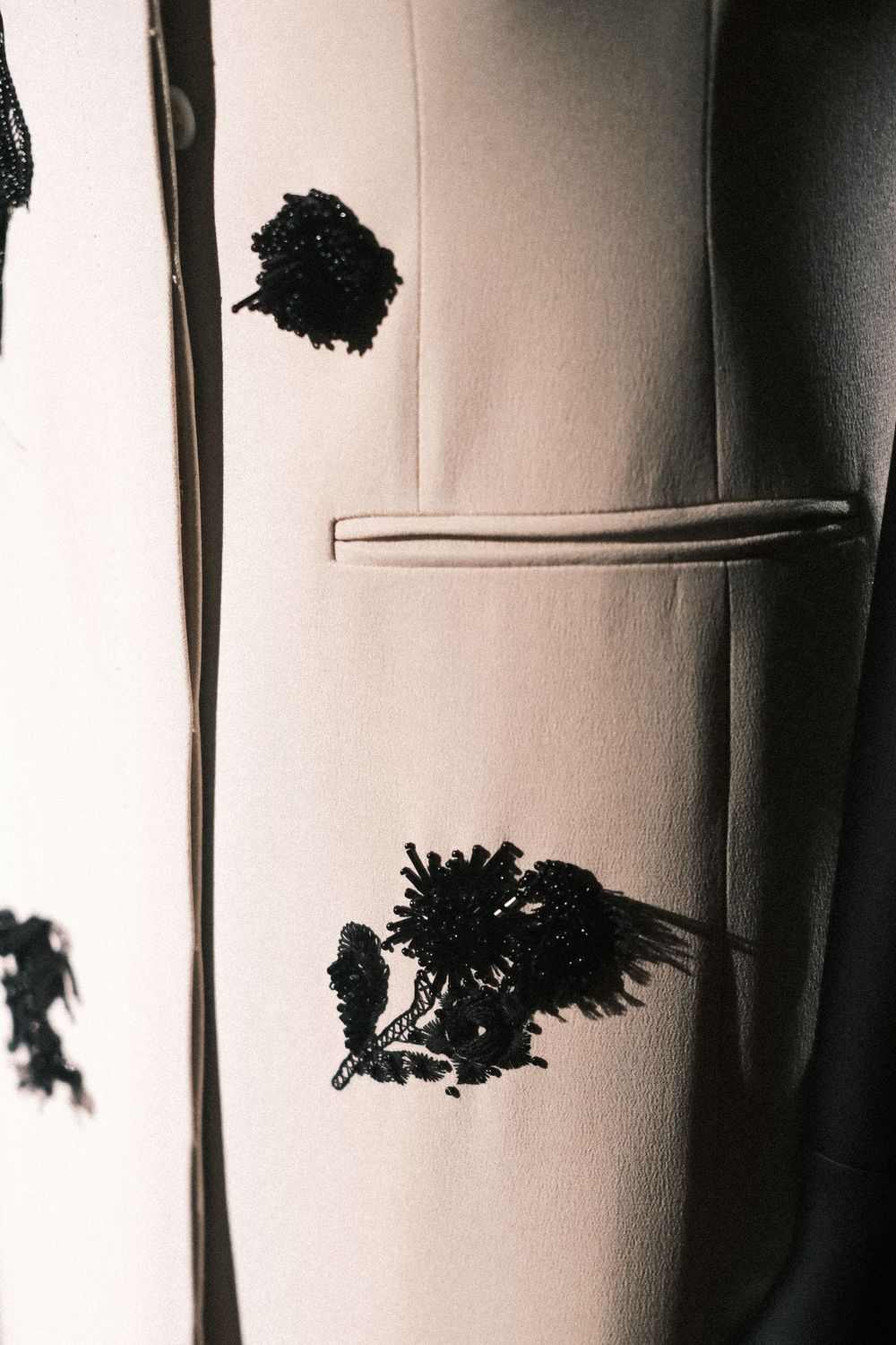 Black and white silhouettes of hanging plants create dramatic shadows against a white wall in an artistic composition.