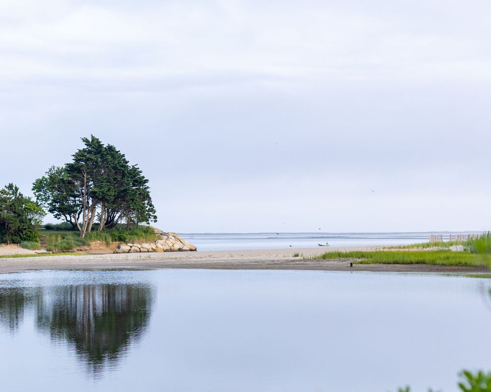 A serene coastal landscape with sandy beach, grassy dunes, and calm waters stretching to the horizon on a cloudy day in Chatham, MA.