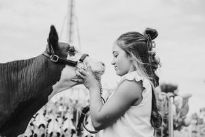 A series of black and white photographs showing a person feeding a horse in different moments.