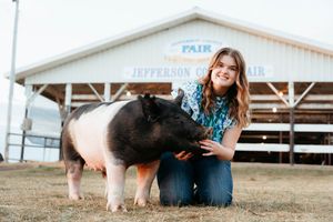 A row of show pigs stand beside their handlers at a county fair livestock competition.