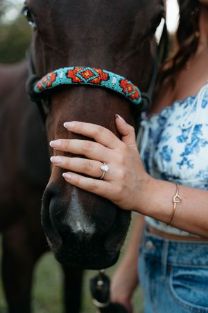 Close-up sequence of a hand wearing a ring gently petting a black horse's muzzle against a dark background.