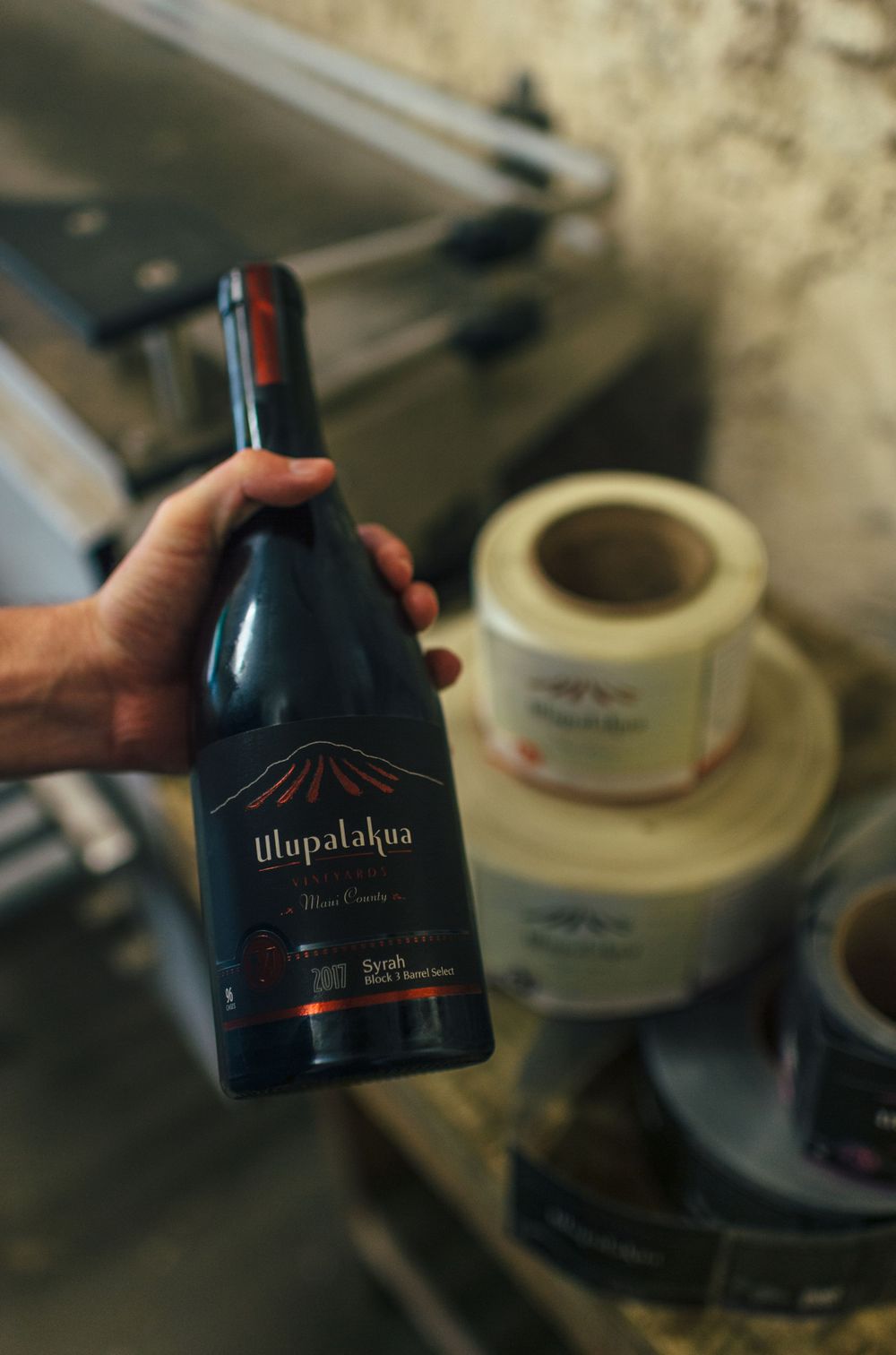 Close-up of dark wine bottles with distinctive branding against a rustic background.