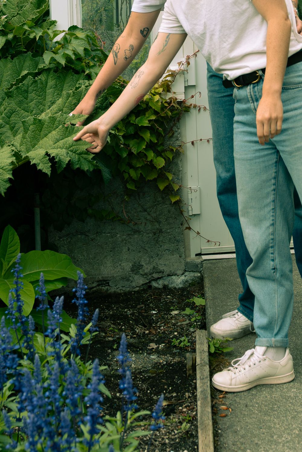 Two pairs of legs in jeans and white sneakers stand near blue flowers and green foliage.