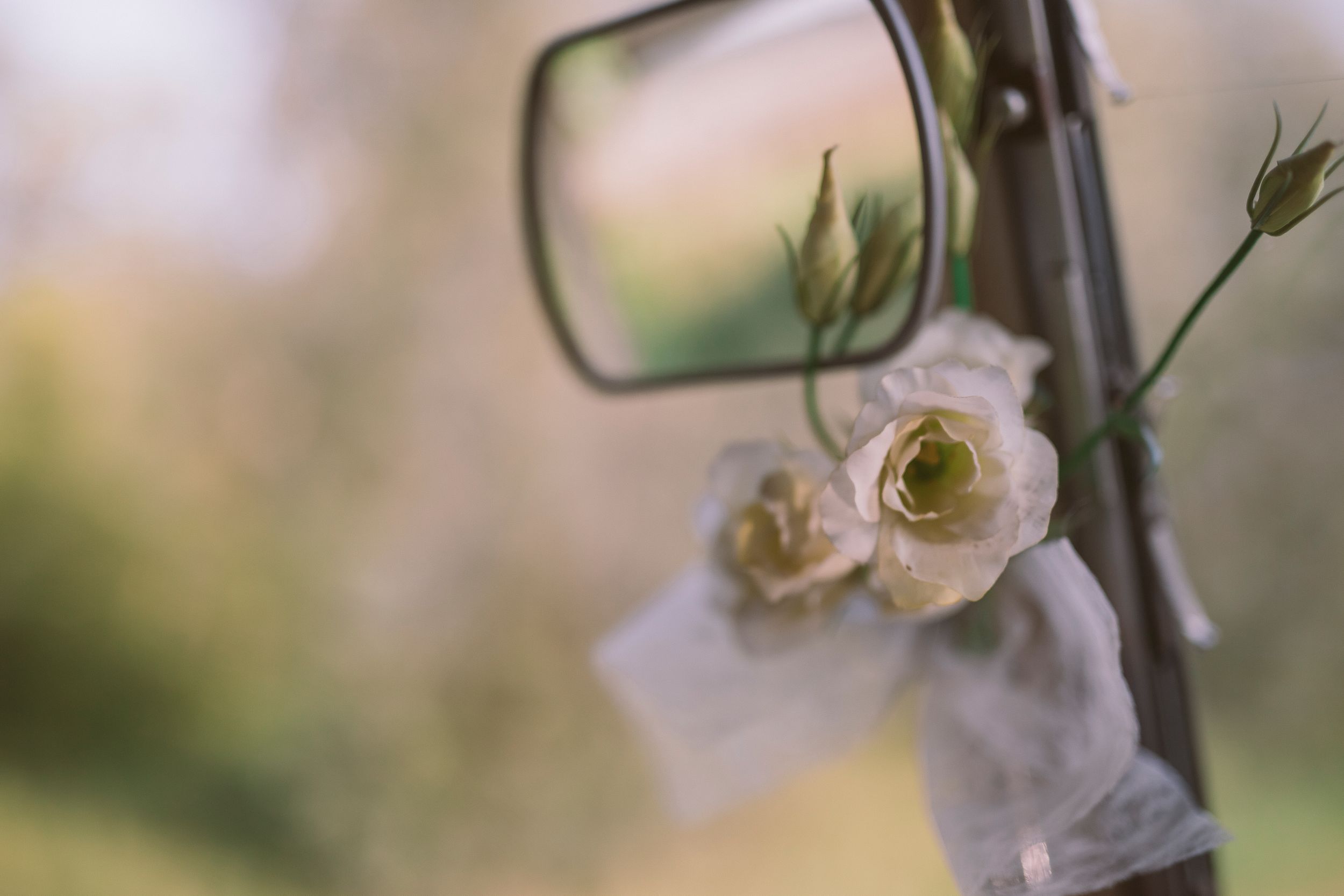 A delicate white orchid flower blooms against a soft blurred background in natural lighting.