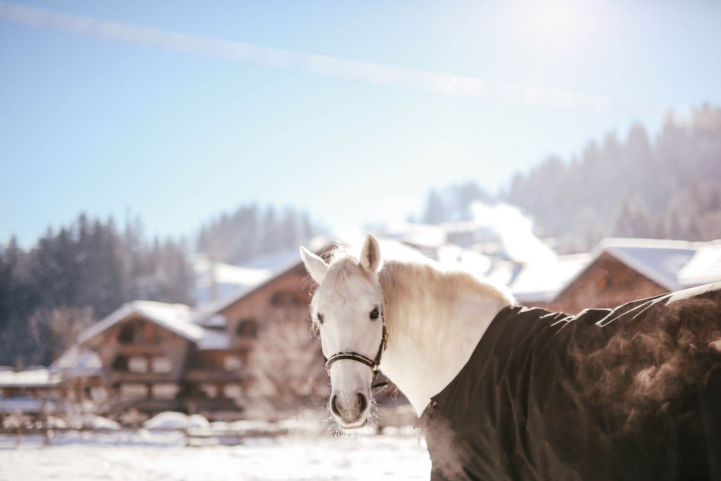 A scenic panoramic view of snow-covered alpine chalets and mountains in a winter landscape.